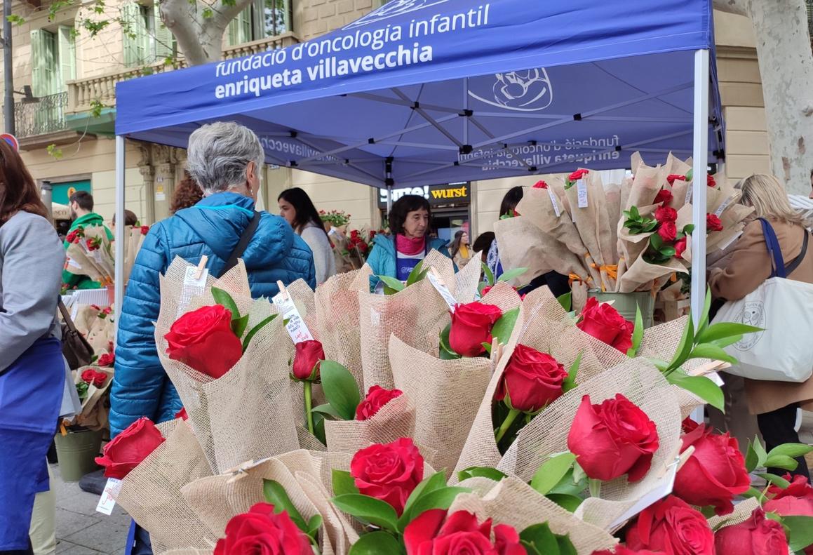 Rosas y rosales en la parada de Sant Jordi de la Fundación Villavecchia