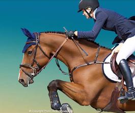 CSIO