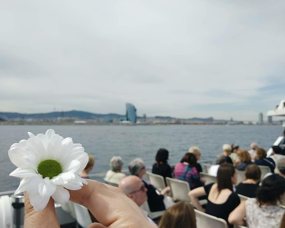 encuentro voluntariado - flor