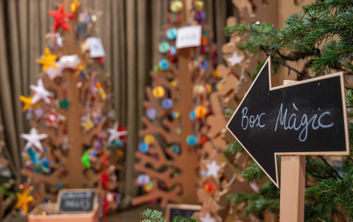 Els arbres del bosc màgic estan decorats pels alumnes d'una trentena d'escoles