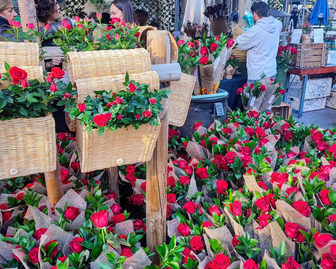 Parada de Sant Jordi de la Fundació Villavecchia